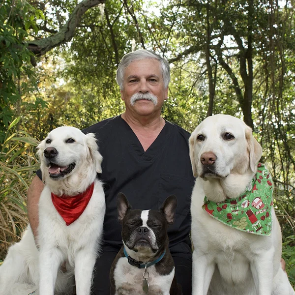 veterinarian with 3 pet dogs