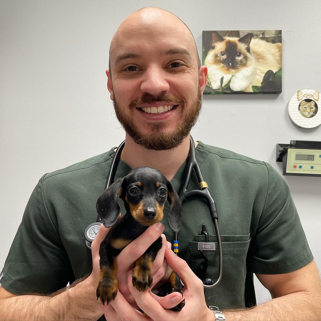 Staff holding dog