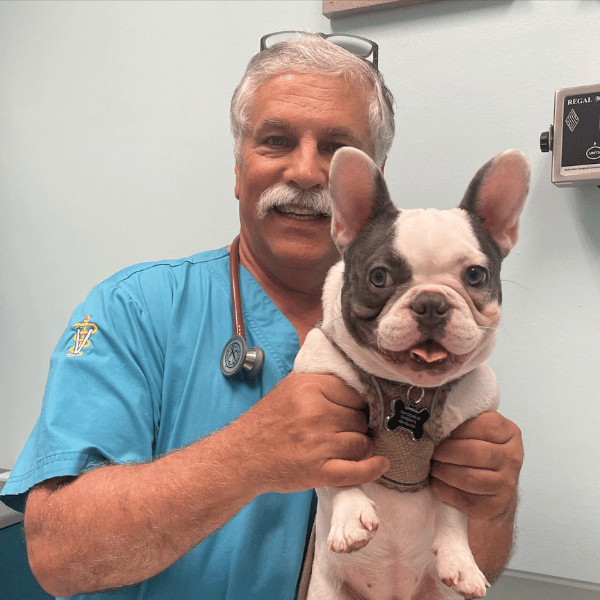 ROBERT LYNCH holds a small dog