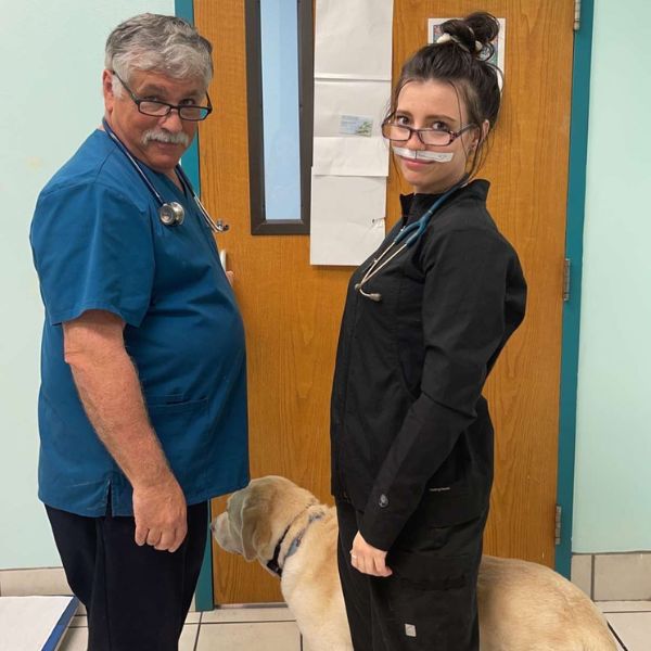 Two vets are standing beside a friendly dog