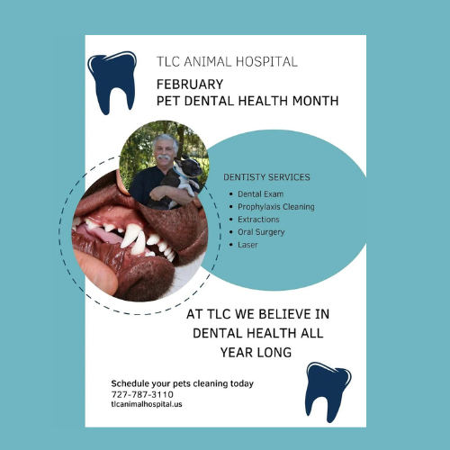 dental health poster