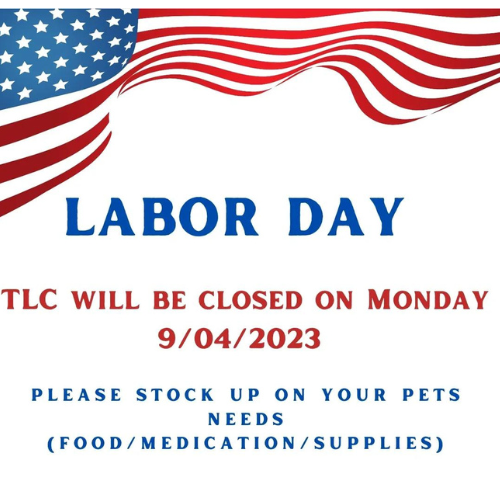 labor day